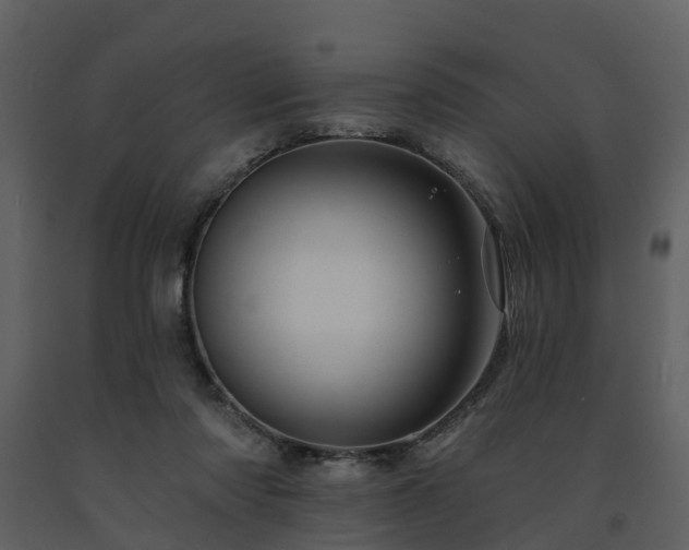 X0000091730310200708241419