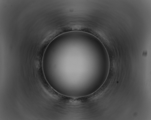 X0000091730311200708241419