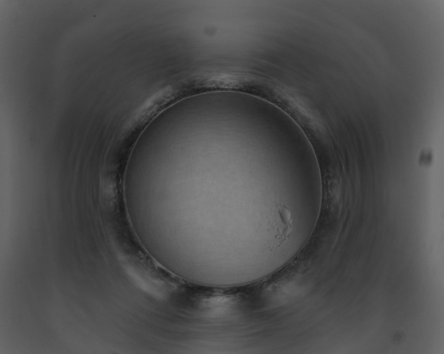 X0000091730312200708241419