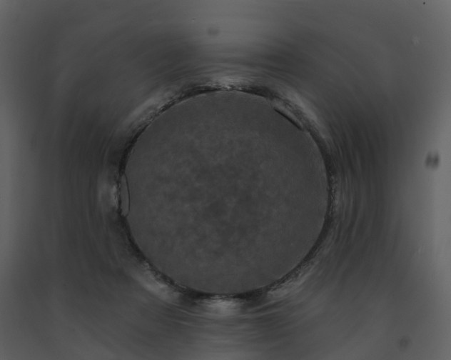 X0000091730313200708241419