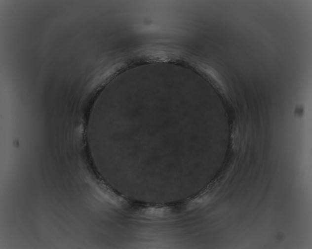 X0000091730314200708241419