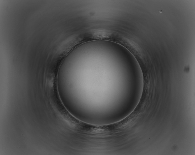 X0000091730315200708241419