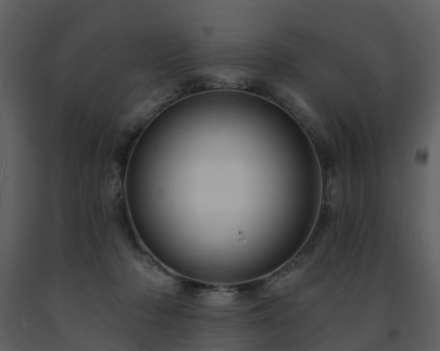 X0000091730318200708241419
