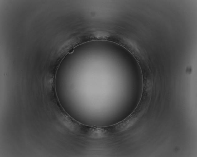 X0000091730321200708241419