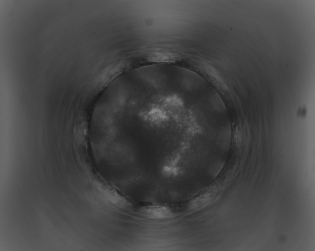 X0000091730322200708241419