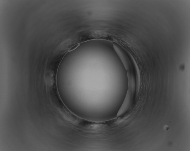 X0000091730323200708241419