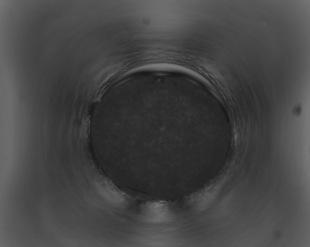 X0000091730325200708241419
