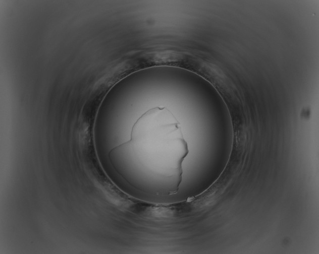X0000091730327200708241419