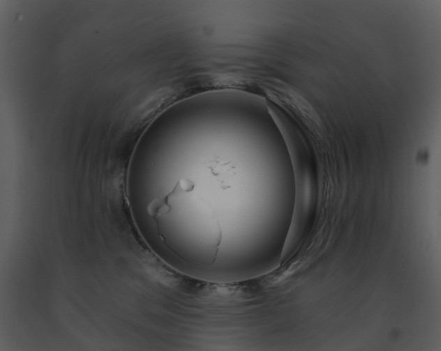 X0000091730329200708241419