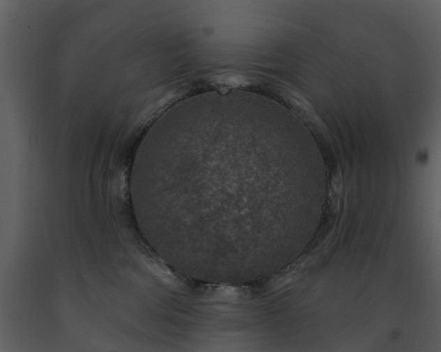 X0000091730330200708241419