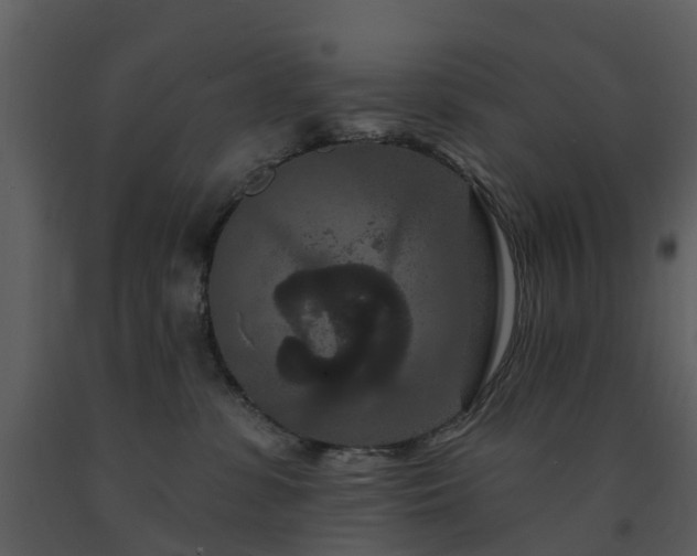 X0000091730331200708241419