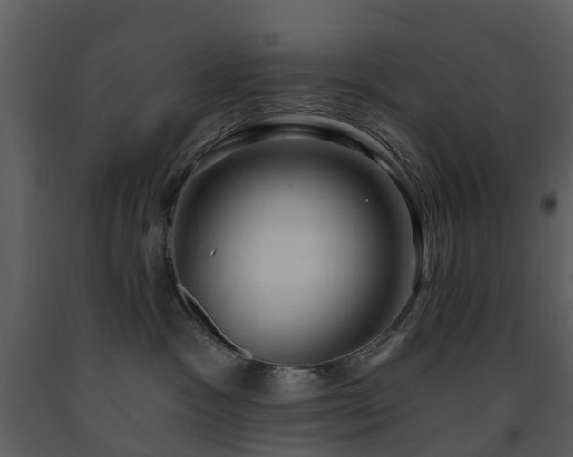 X0000091730333200708241419