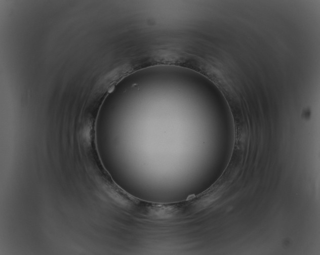 X0000091730334200708241419