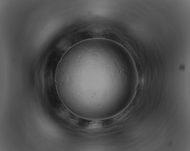 X0000091730335200708241419