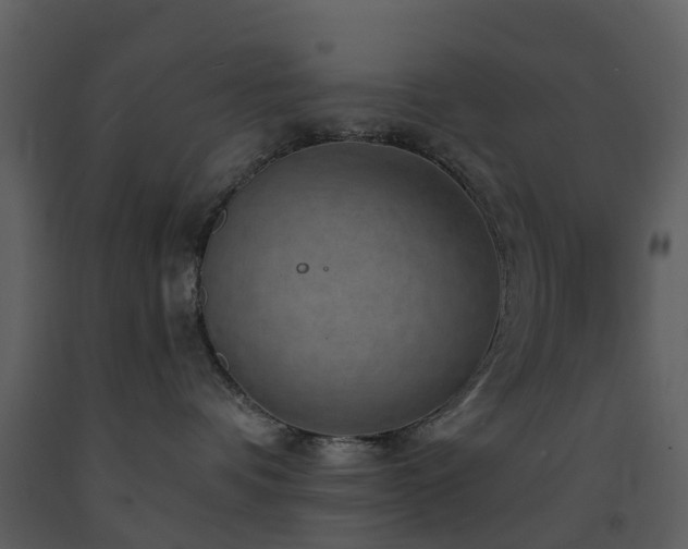 X0000091730336200708241419