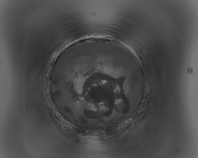X0000091730337200708241418