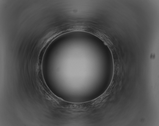 X0000091730338200708241418