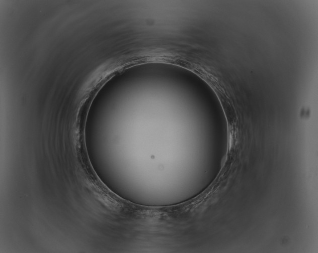 X0000091730339200708241418