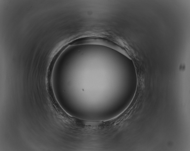 X0000091730340200708241418