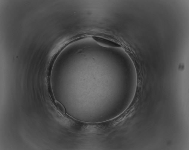 X0000091730341200708241418