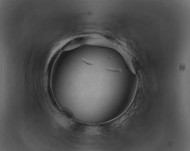 X0000091730342200708241418