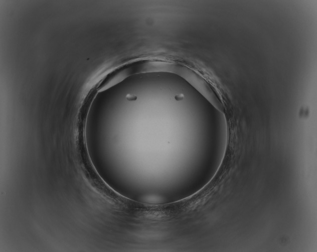 X0000091730344200708241418