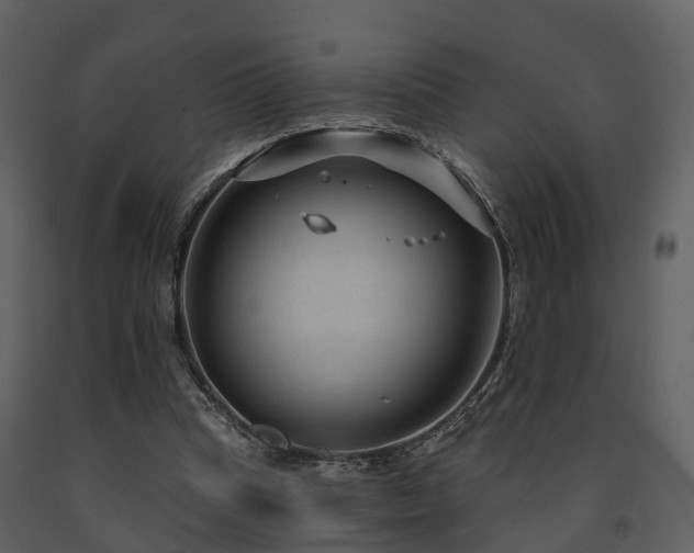 X0000091730345200708241418