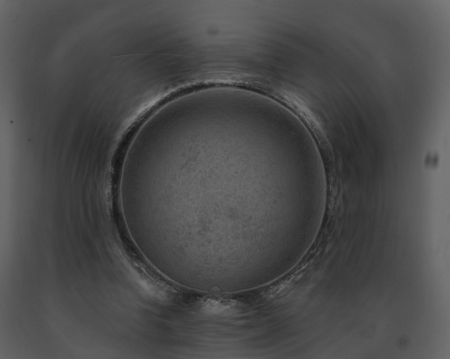 X0000091730346200708241418