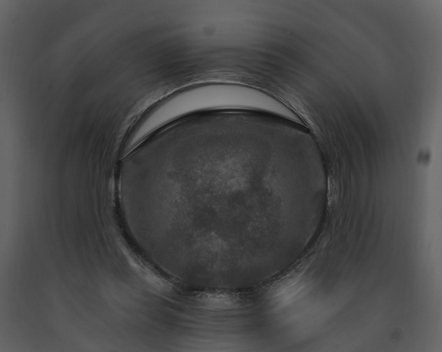 X0000091730349200708241418