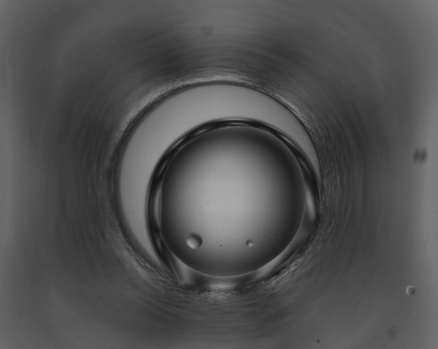 X0000091730350200708241418