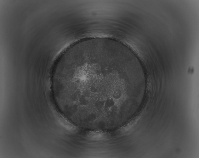X0000091730351200708241418