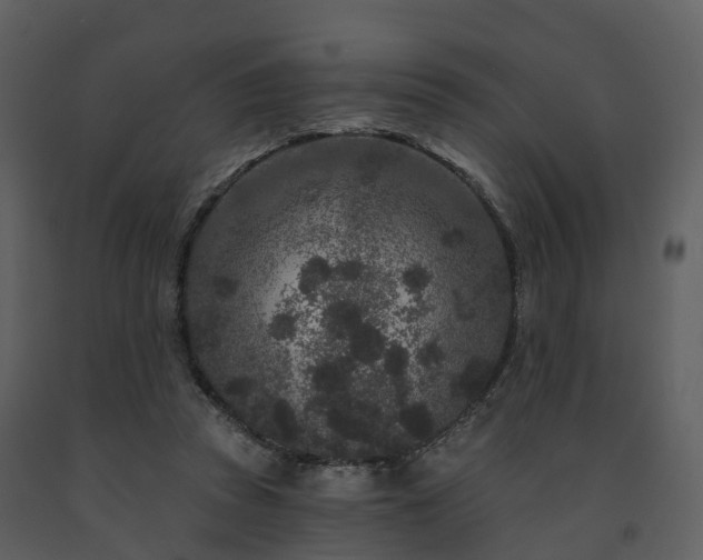 X0000091730353200708241418