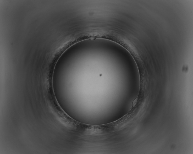 X0000091730354200708241418
