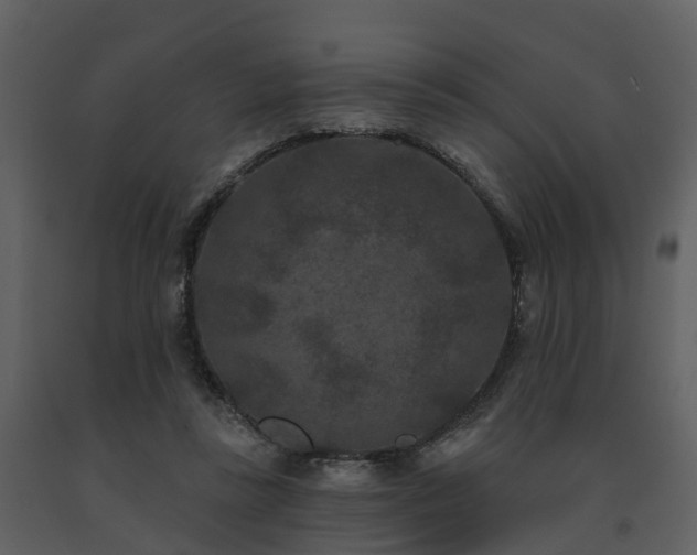 X0000091730355200708241418