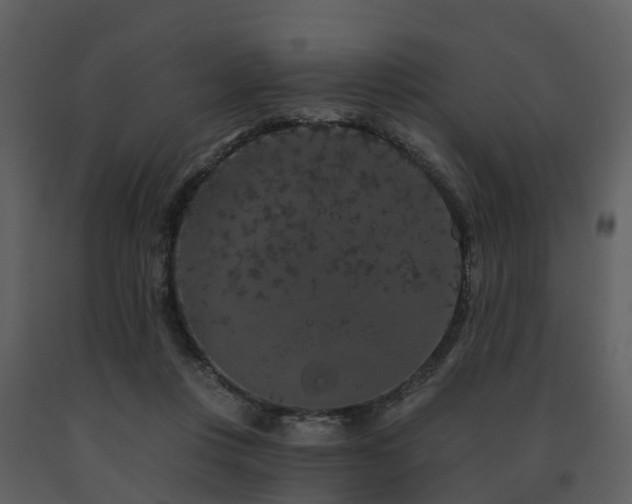 X0000091730359200708241418