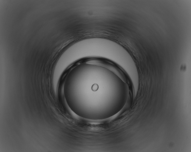 X0000091730360200708241418