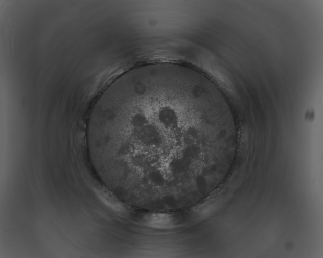 X0000091730361200708241418