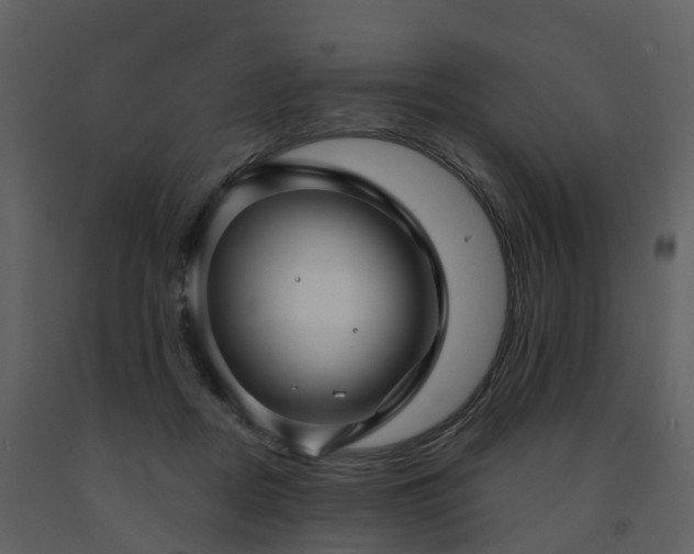 X0000091730362200708241418