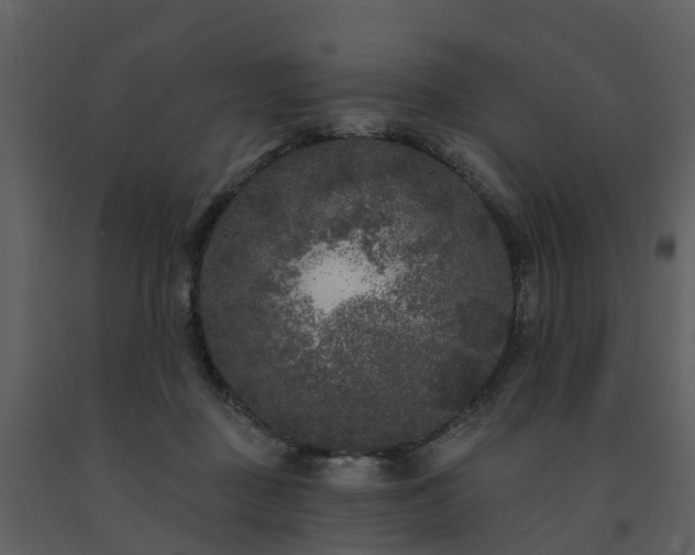 X0000091730363200708241418
