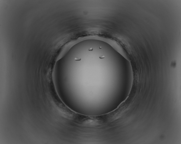 X0000091730364200708241418