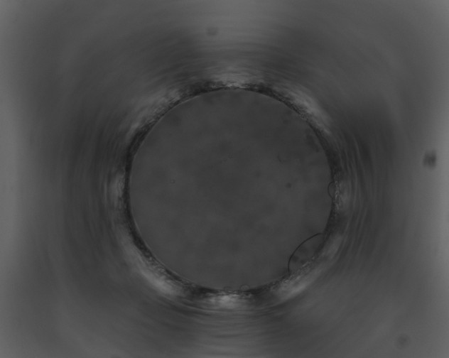 X0000091730365200708241418