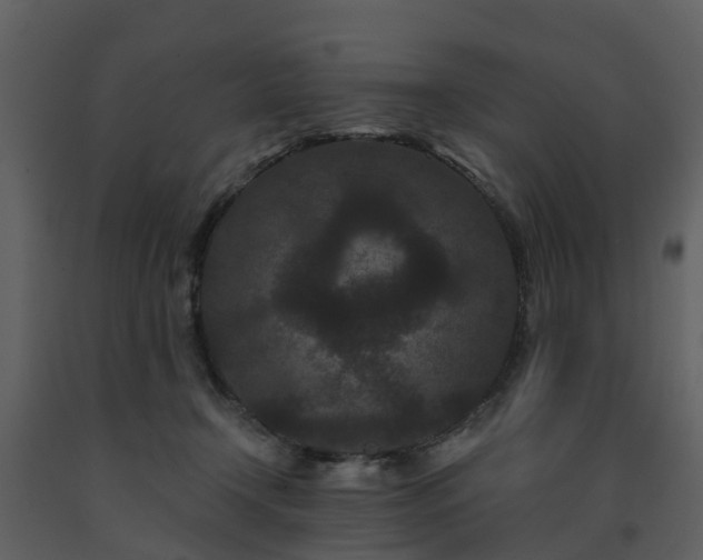 X0000091730366200708241418
