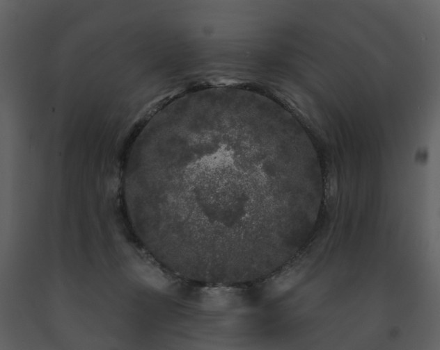 X0000091730367200708241418