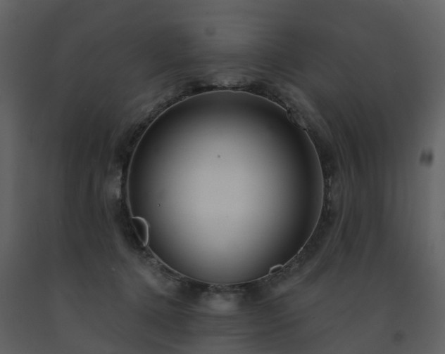 X0000091730368200708241418