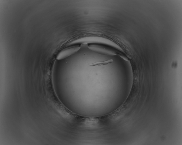 X0000091730369200708241418