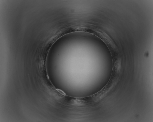 X0000091730372200708241419
