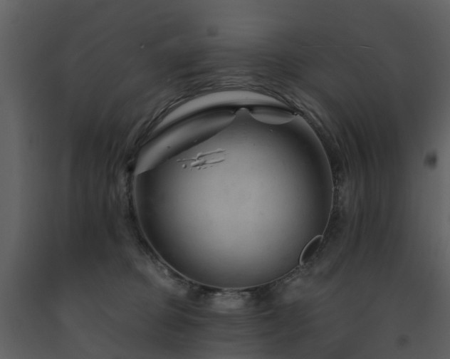 X0000091730373200708241419