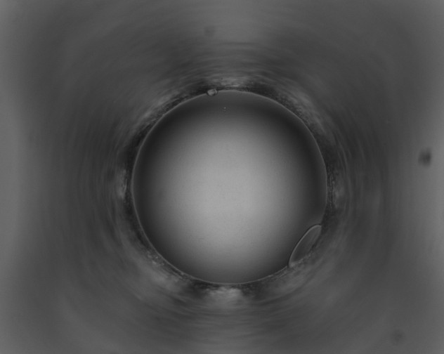 X0000091730374200708241419