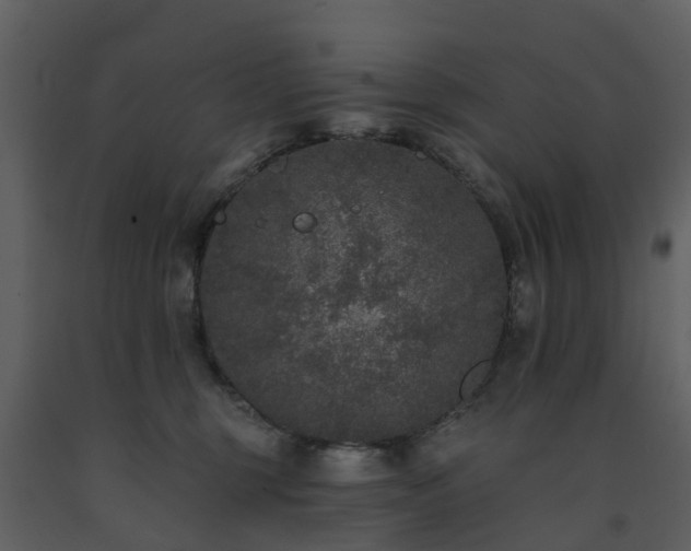 X0000091730375200708241419