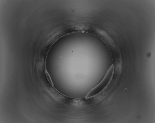 X0000091730376200708241419